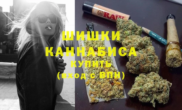 СК Зерноград