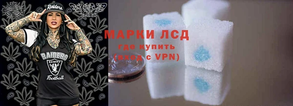 мдпв Рославль