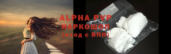 прущие грибы Зеленокумск