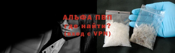 прущие грибы Зеленокумск