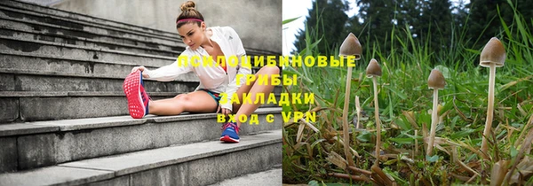 гашик Зеленодольск