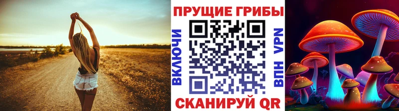 Галлюциногенные грибы мицелий Светлогорск